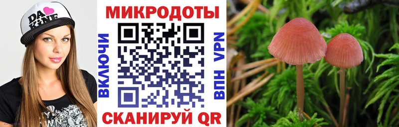 Купить  Курган  Псилоцибиновые грибы ЛСД 